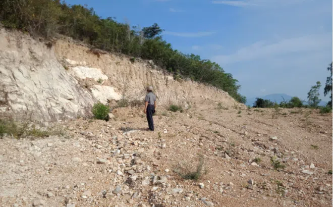 Lâm Đồng: Công ty TNHH Tâm Châu tự ý chuyển đổi mục đích hơn 10 ha đất trái quy định