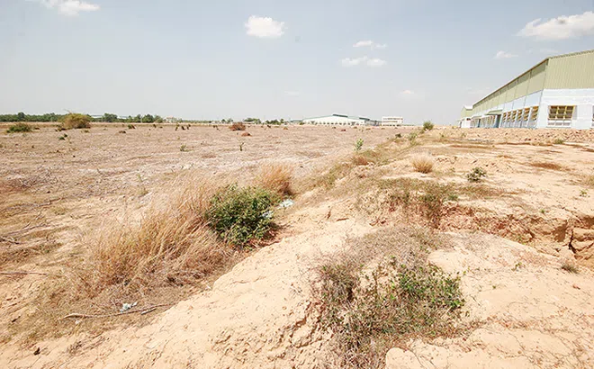 Xử lý các doanh nghiệp “ôm” đất để “treo”