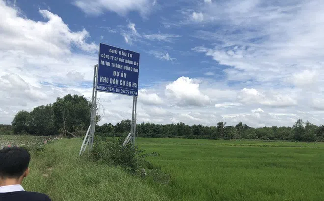 Công ty Kim Oanh bị lừa đảo chiếm đoạt hai dự án gần 2.500 tỷ đồng?