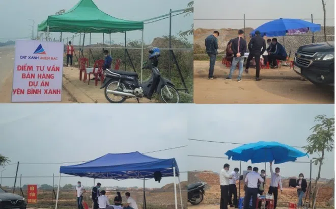 Chủ đầu tư Dự án Khu đô thị Yên Bình lách luật, bán "lúa non" ra thị trường