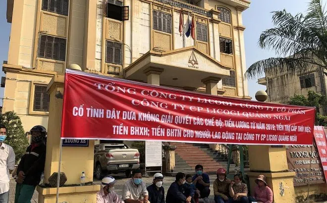 Licogi Quảng Ngãi bị xử phạt vì sai phạm trong công bố thông tin