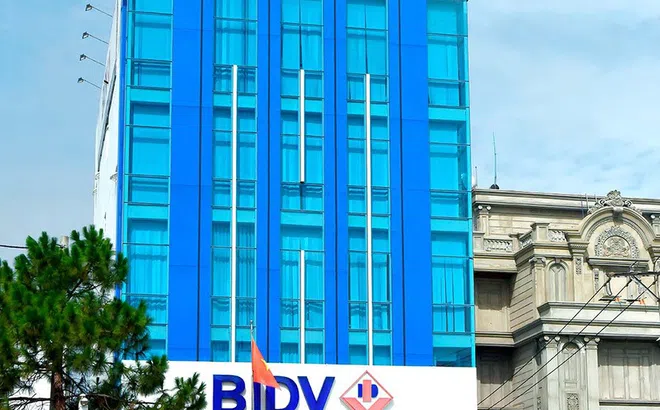 BIDV thẩm định và thu giữ tài sản đảm bảo cho khoản nợ quá hạn hơn 400 tỷ của Hoàng Long Steel và Môi trường Cửu Long