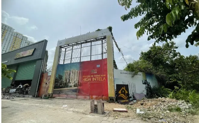 Loạt dự án bất động sản tại TP.HCM ‘quên xây dựng’ - Bài 2: 'Bán lúa non', ăn trái đắng