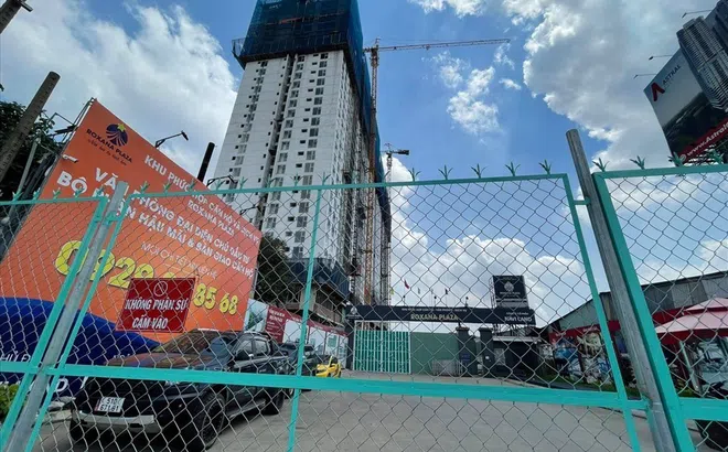 Tiếp vụ "Hợp đồng mua căn hộ Roxana Plaza vô hiệu": Công ty Naviland phải chịu trách nhiệm với 1.082 khách hàng?