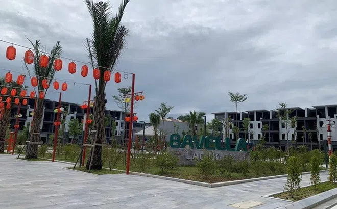 BV Land miễn nhiệm chức vụ Tổng giám đốc với ông Lê Huy Giang