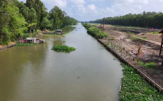 Cty Du lịch An Giang xây sân đua bò 20.000m2 không phép ở An Giang