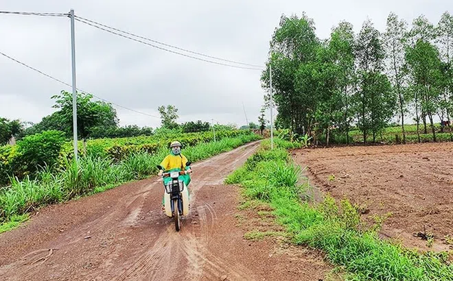 Dofico "ôm" hàng nghìn hecta đất Nhà nước rồi bỏ hoang nhiều năm, giờ đề nghị trả lại
