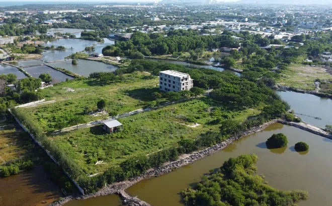 Vũng Tàu xử lý vi phạm của Công ty Thanh Xuân và Công ty Hoàng Gia