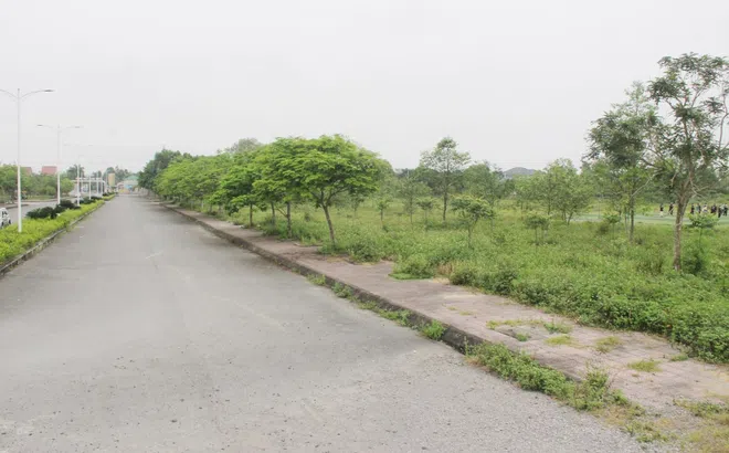 Thanh Hóa- Nghệ An quyết tâm xử lý tình trạng “quy hoạch treo” và “dự án treo”