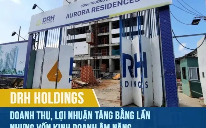 DRH Holdings: Doanh thu, lợi nhuận tăng bằng lần nhưng vốn kinh doanh âm nặng