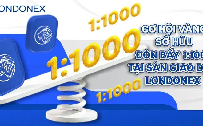 Đòn Bẩy 1:1000 Tại Londonex - Cơ Hội Giúp Nhà Đầu Tư Sinh Lời
