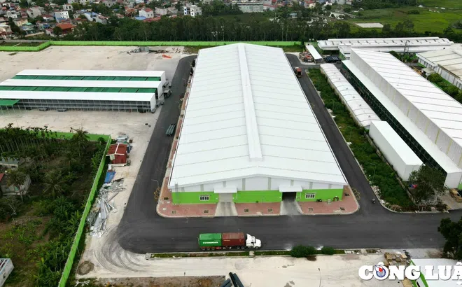 Công ty nhựa Tiền Phong xây dựng nhà xưởng không phép: Chây ì khắc phục, cố tình hợp thức hóa sai phạm?