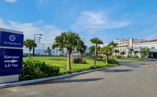 Nợ ''ngập đầu", Công ty Tri Việt Hội An vẫn được Bình Định giao làm dự án 367 tỷ đồng