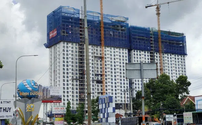 Bình Dương: Thanh tra dự án của Công ty Á Châu và Công ty Tường Phong