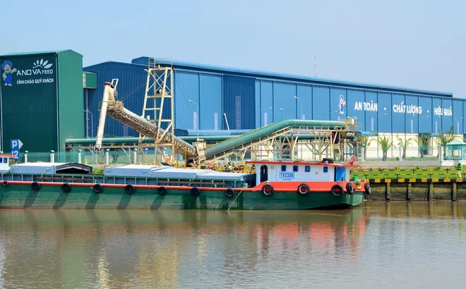 Quỹ DEG hoàn tất hợp tác tài trợ 17,5 triệu USD, Nova Consumer đẩy mạnh phát triển trang trại