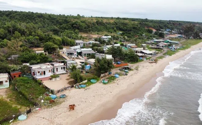 Những lùm xùm ở dự án King Sea Phan Thiết