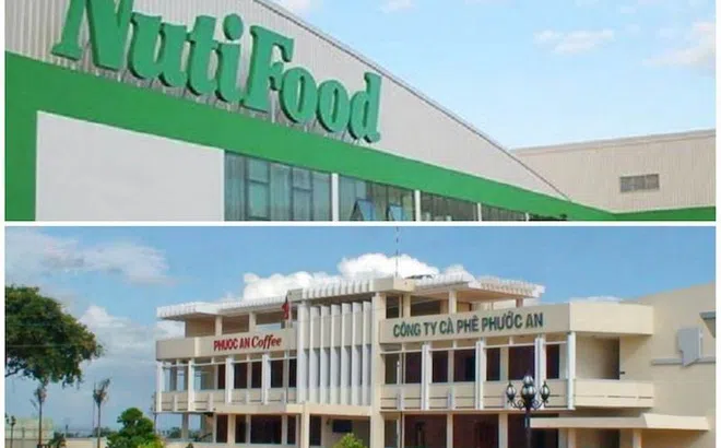 Công ty Cà phê Phước An chìm sâu trong thua lỗ, Nutifood muốn thoái sạch vốn và ước tính thu về 214 tỷ đồng