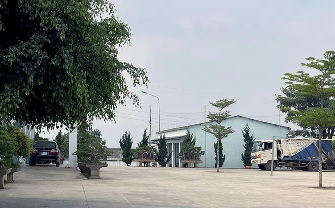 Lâm Đồng rà soát chấm thầu dự án 70 tỷ đồng ở huyện Đơn Dương