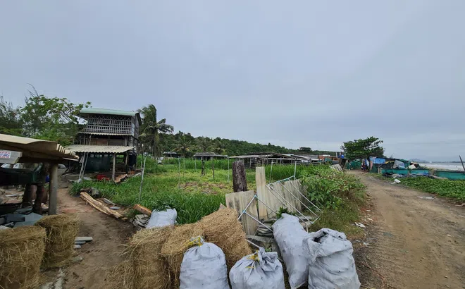 Eras Holdings “xâm lấn” bất động sản và bóng dáng doanh nhân Nguyễn Thị Thuỳ Linh