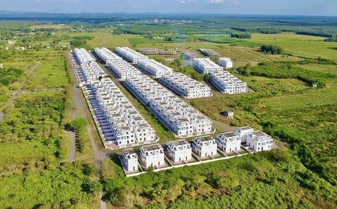 Điều hiếm gặp tại DN xây 500 căn nhà sai phép, Chủ tịch bị bán giải chấp
