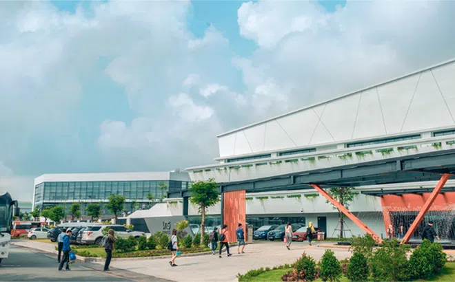 VNG lên kế hoạch lỗ tiếp 378 tỷ đồng 2023, cổ phiếu kỳ lân nay còn lại gì?