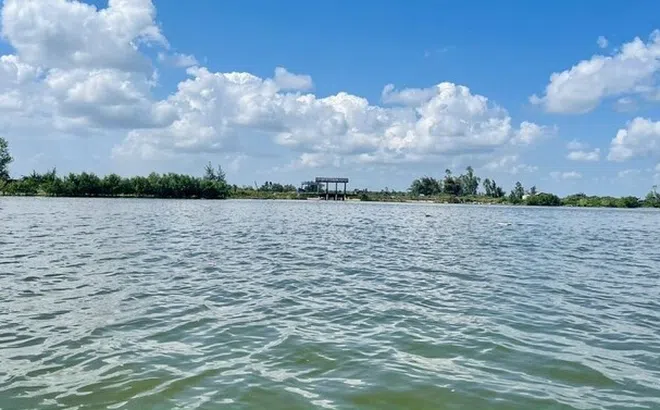 Một phần dự án Coastal Quảng Ngãi của Newhaus nằm trên đất rừng phòng hộ