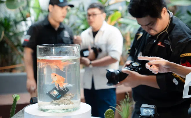 Quick Access trình làng GoPro HERO12 Black tại thị trường Việt Nam