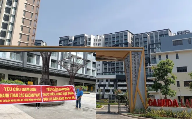 Gamuda Land “cầm đèn chạy trước ô tô”: Bị phạt 900 triệu đồng, phải hoàn tiền cho khách hàng