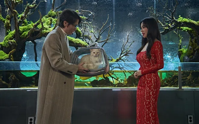 Màn ảnh Hàn mang tác phẩm hài hước mới “Mỹ Nhân Đạo Chích” đến phòng vé Việt