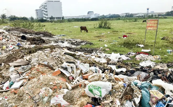 TPHCM: Một dự án bất ngờ được 'xóa treo' sau hơn 20 năm