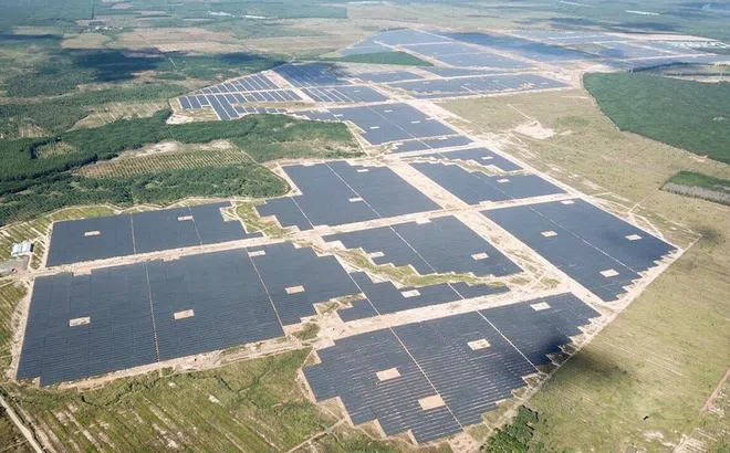 Bình Phước: Công ty Lộc Ninh 3 xây dựng nhà máy điện mặt trời trên đất rừng