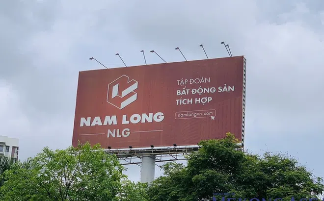 CTCP Đầu tư Nam Long kinh doanh tụt dốc, lãi ròng giảm tới 34%