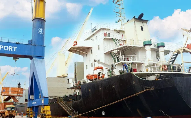 Sản lượng hàng hóa qua cảng Chu Lai tăng cao trong Quý I/2024