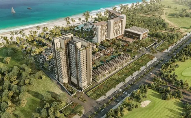 Cả năm 2023, Công ty cổ phần Tonkin Land gần như không ghi nhận khoản thu nào