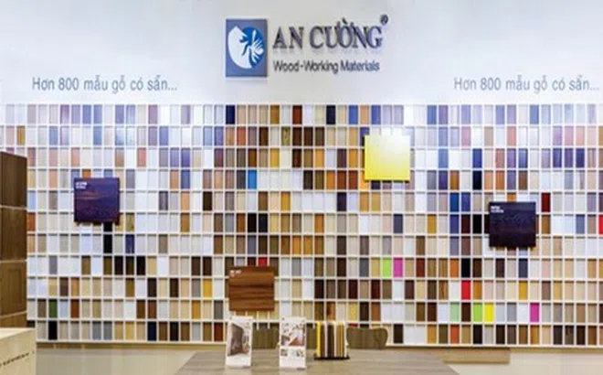 Tình hình đầu tư tài chính của Công ty Gỗ An Cường như thế nào?