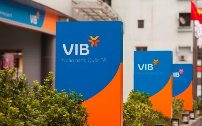 VIB: Tăng trưởng tín dụng gần như “đóng băng”, nợ có khả năng mất vốn tăng 62,2%