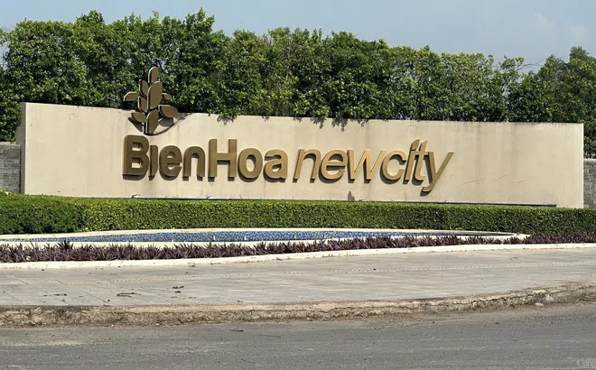 Đồng Nai: Quy hoạch ồ ạt, hàng loạt đại đô thị “ma” hiện hình