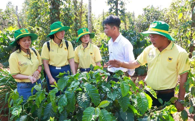 Phân bón Bình Điền (BFC) bị phạt và truy thu thuế hơn 2,6 tỷ đồng