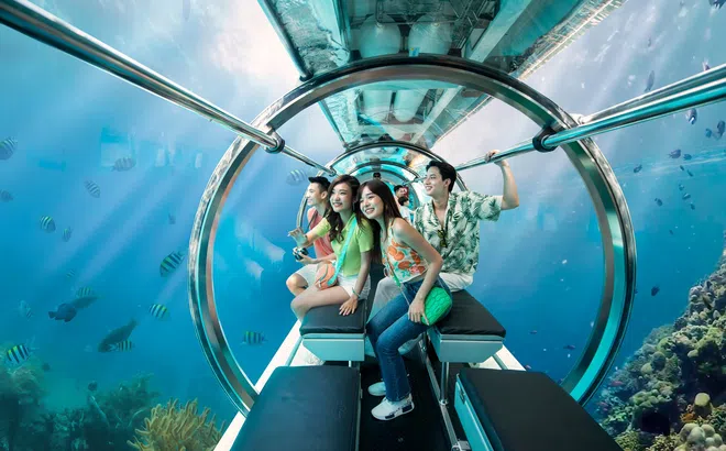 Tâm điểm du lịch hè WonderFest Nha Trang khuynh đảo mạng xã hội