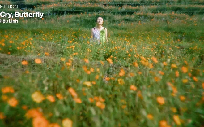 Đạo diễn thứ 3 liên tiếp của Dự án phim ngắn CJ ghi dấu ấn với phim dài đầu tay