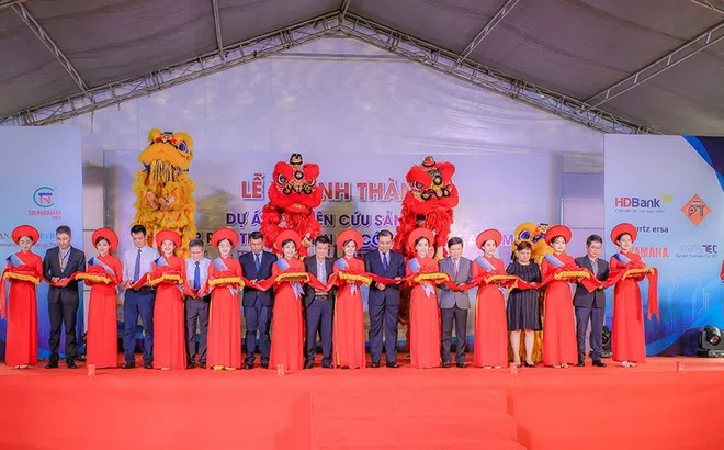 Thành viên Trungnam Group nợ thuế 38 tỷ đồng, bị cưỡng chế tài khoản