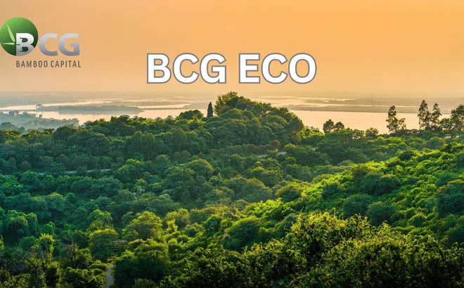 Tập đoàn Bamboo Capital thành lập BCG Eco để thực hiện hóa mục tiêu phát triển vững