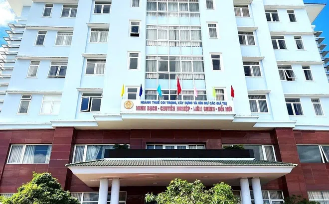 Tạm hoãn xuất cảnh giám đốc Công ty Him Lam Kon Tum