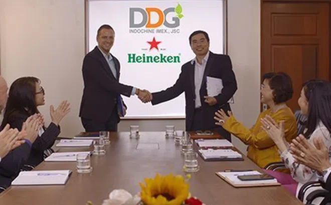 Liên tiếp vi phạm công bố thông tin, cổ phiếu DDG bị kiểm soát