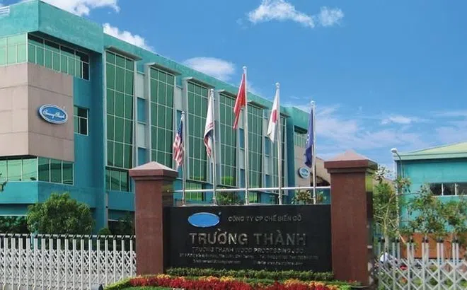 Kinh doanh ảm đạm, Gỗ Trường Thành góp vốn lập công ty nội thất