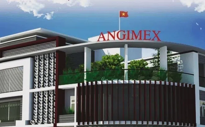 Lỗ 'ăn mòn' vốn chủ, Angimex khẳng định vẫn hoạt động liên tục