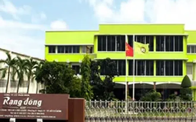 Rạng Đông Holding (RDP) bị xử phạt hơn 240 triệu đồng