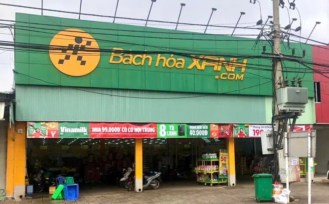 Vụ gần 3.000 tấn giá đỗ ngậm hoá chất ở Đắk Lắk: Cơ sở sản xuất cung cấp hàng trăm kg mỗi ngày cho Bách Hoá Xanh