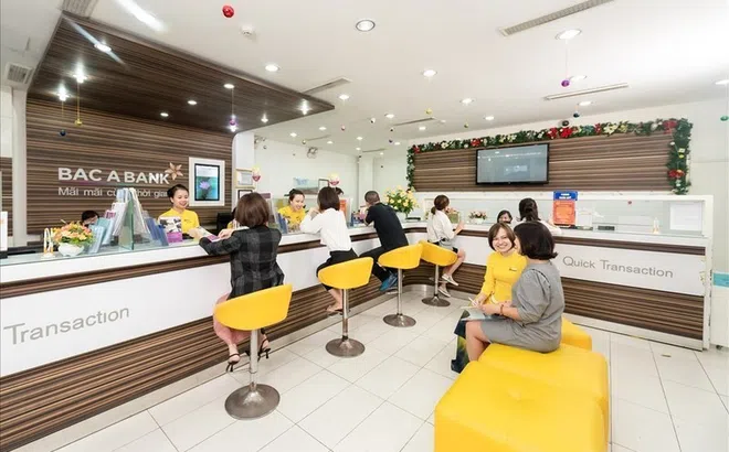 Con gái Chủ tịch BacABank muốn thoái hết 3,71 triệu cổ phiếu BAB