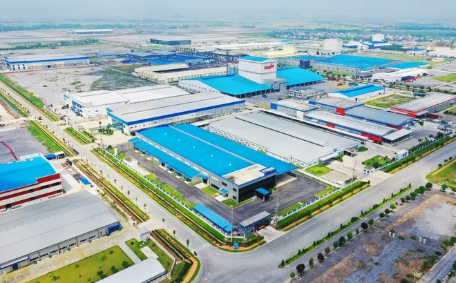 Doanh thu năm 2025 của GELEX được dự báo vượt 36.000 tỷ đồng